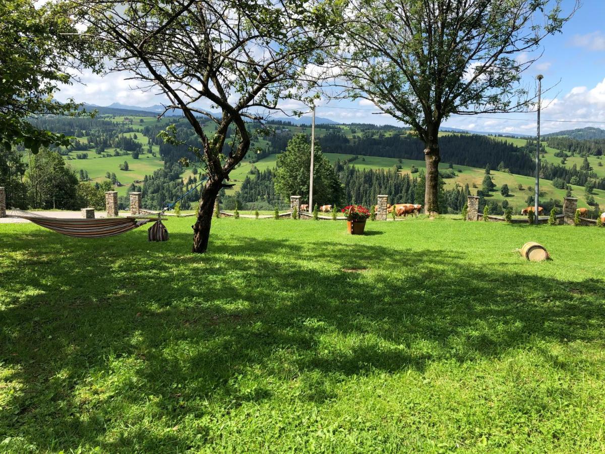 Domek Tatrzanska Zyngierka Z Jacuzzi Zab Buitenkant foto