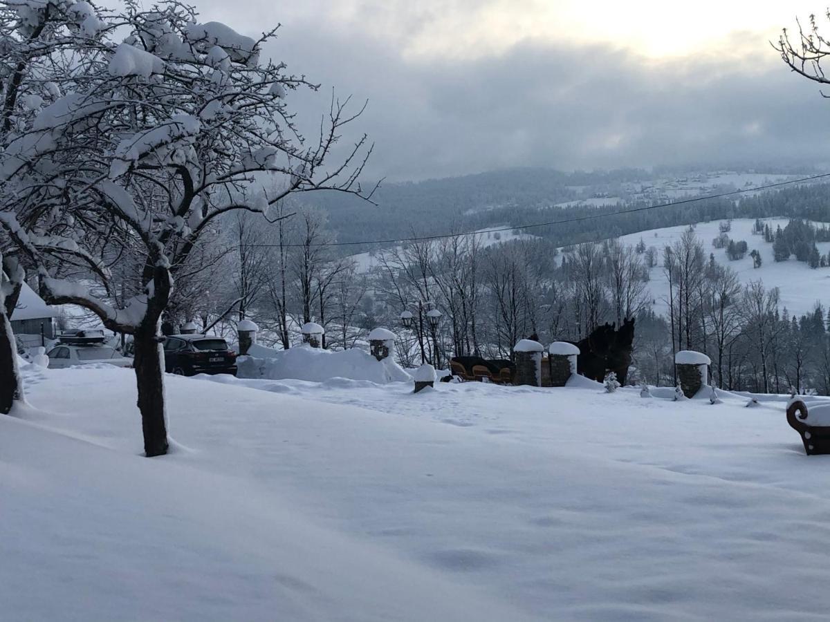 Domek Tatrzanska Zyngierka Z Jacuzzi Zab Buitenkant foto